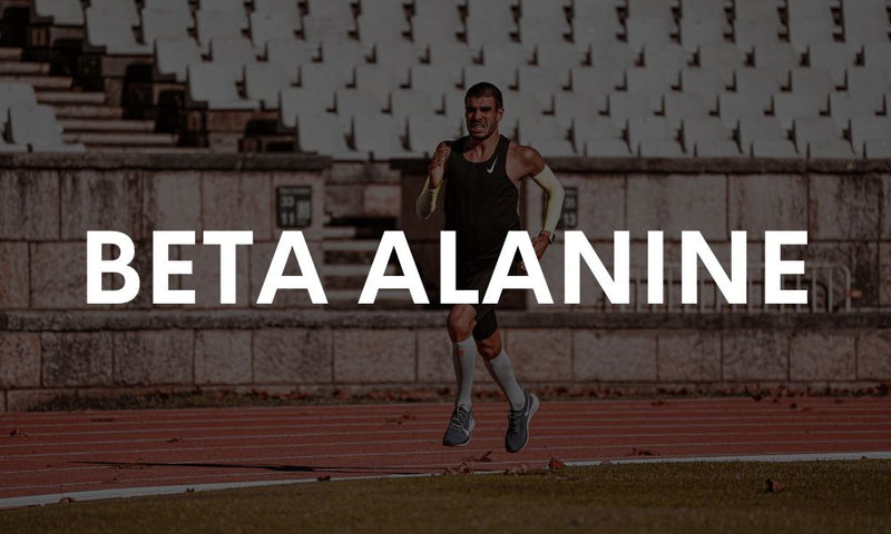 Ingredient Spotlight: Beta Alanine