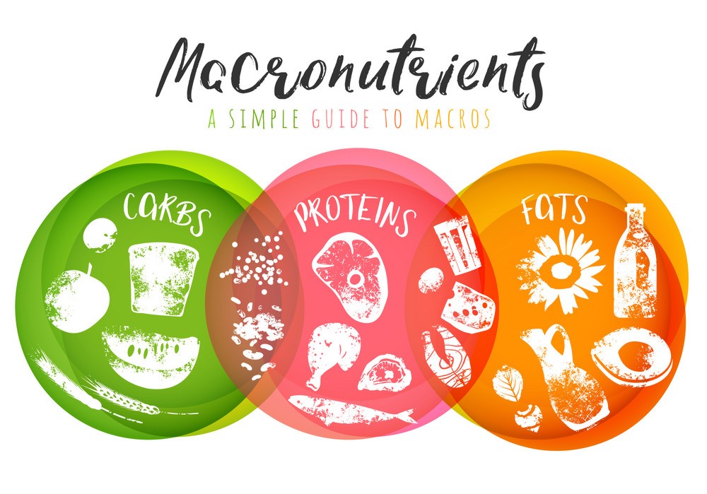 What Are Macronutrients?