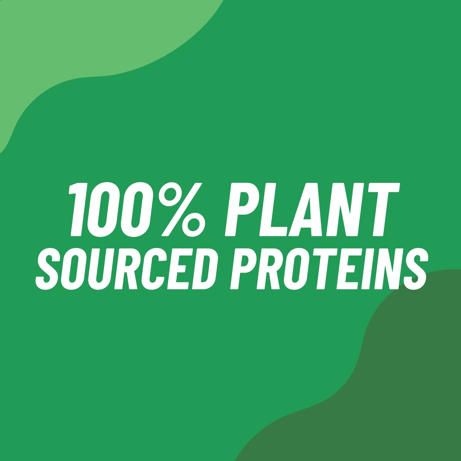 EFECTIV Vegan Protein 900g