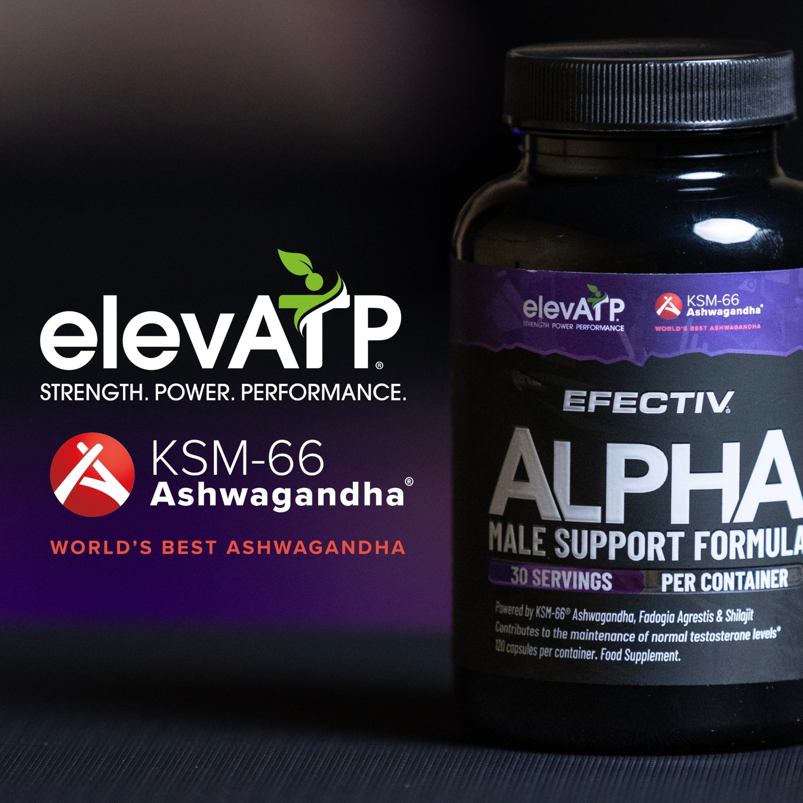 EFECTIV® ALPHA Male Support | 30 Servings | Testesterone Support