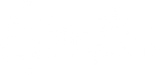 Efectiv Nutrition